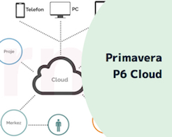 Primavera P6 Cloud