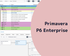 Primavera P6 Enterprise